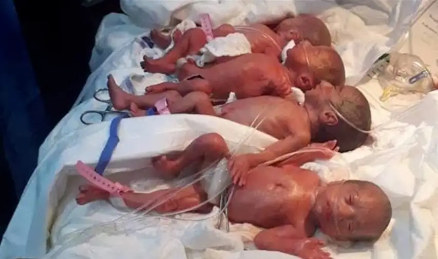Seis bebés en nueve minutos: los recién nacidos y la madre están bien