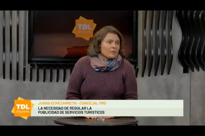 Expectativas por la Boleta Única – Tandil Despierta