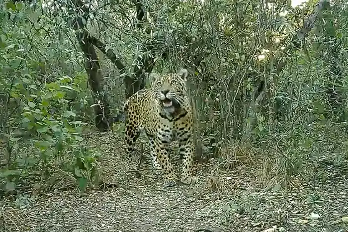 La última señal que emitió el aparato de geolocalización fue el 25 de octubre