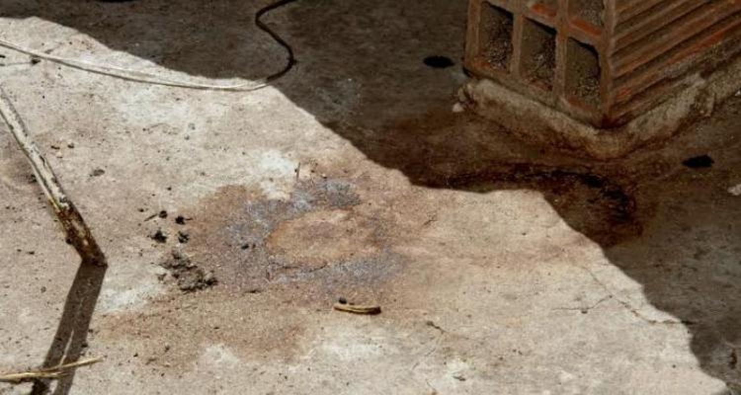 Ordenan análisis de sangre a la familia de Nicolás Castillo