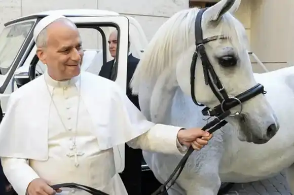 Regalo de lujo: el Papa León XIV recibió un valioso caballo árabe que será subastado para obras de caridad