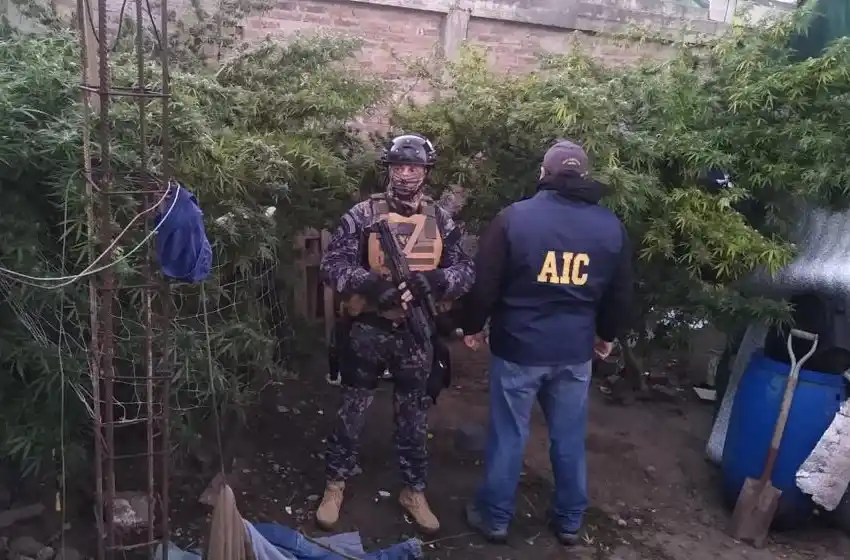 Allanamientos por un crimen en Rosario: dos detenidos y secuestro de marihuana valuada en 2 millones de pesos