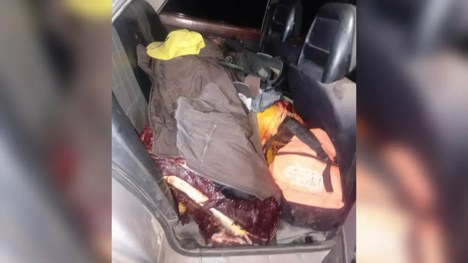 Pasajero un poco peculiar: Aprehendieron a una mujer y secuestraron 400 kilos de carne equina