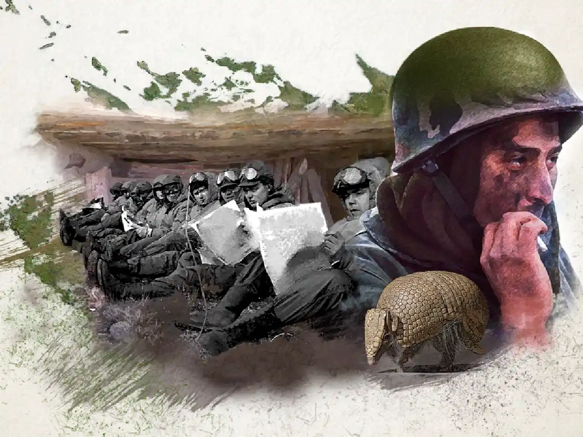 Malvinas: el día después      