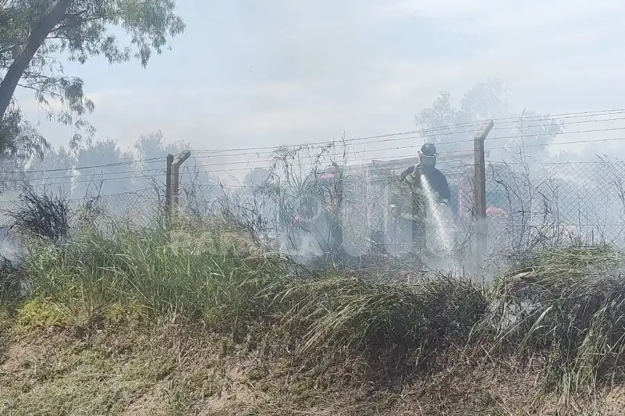 Se prenden fuego pastizales en Av. Brasil: trabajan los bomberos