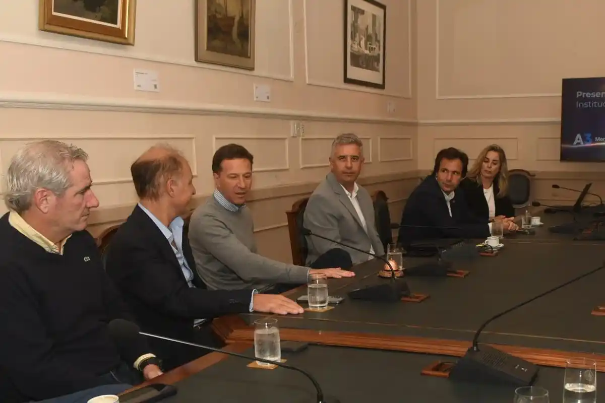 La empresa A3 hoy tiene más del 50% del mercado de caución.