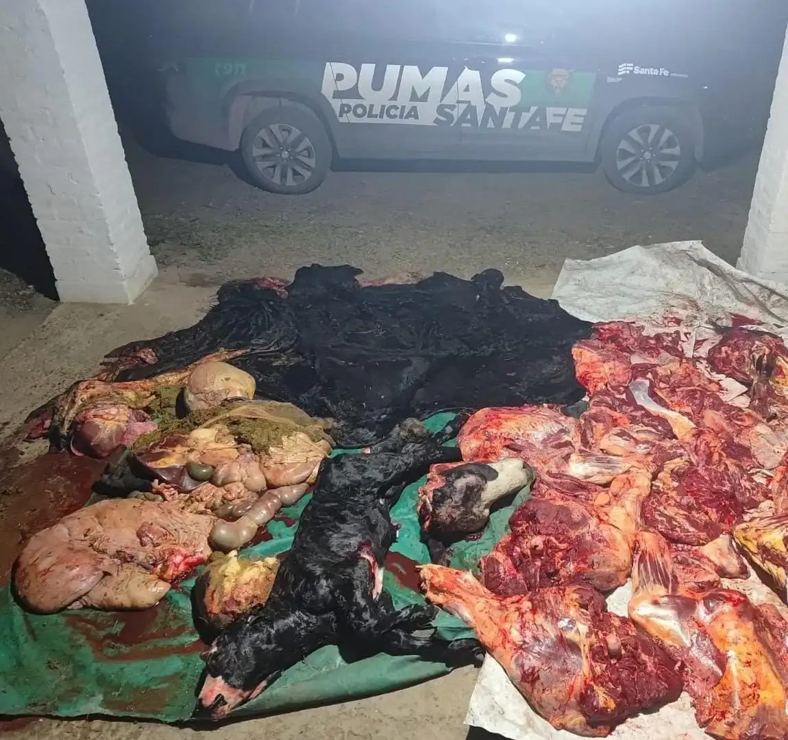 Los Pumas secuestraron armas, más de 200 municiones y 300 kilos de carne vacuna en dos operativos - 5