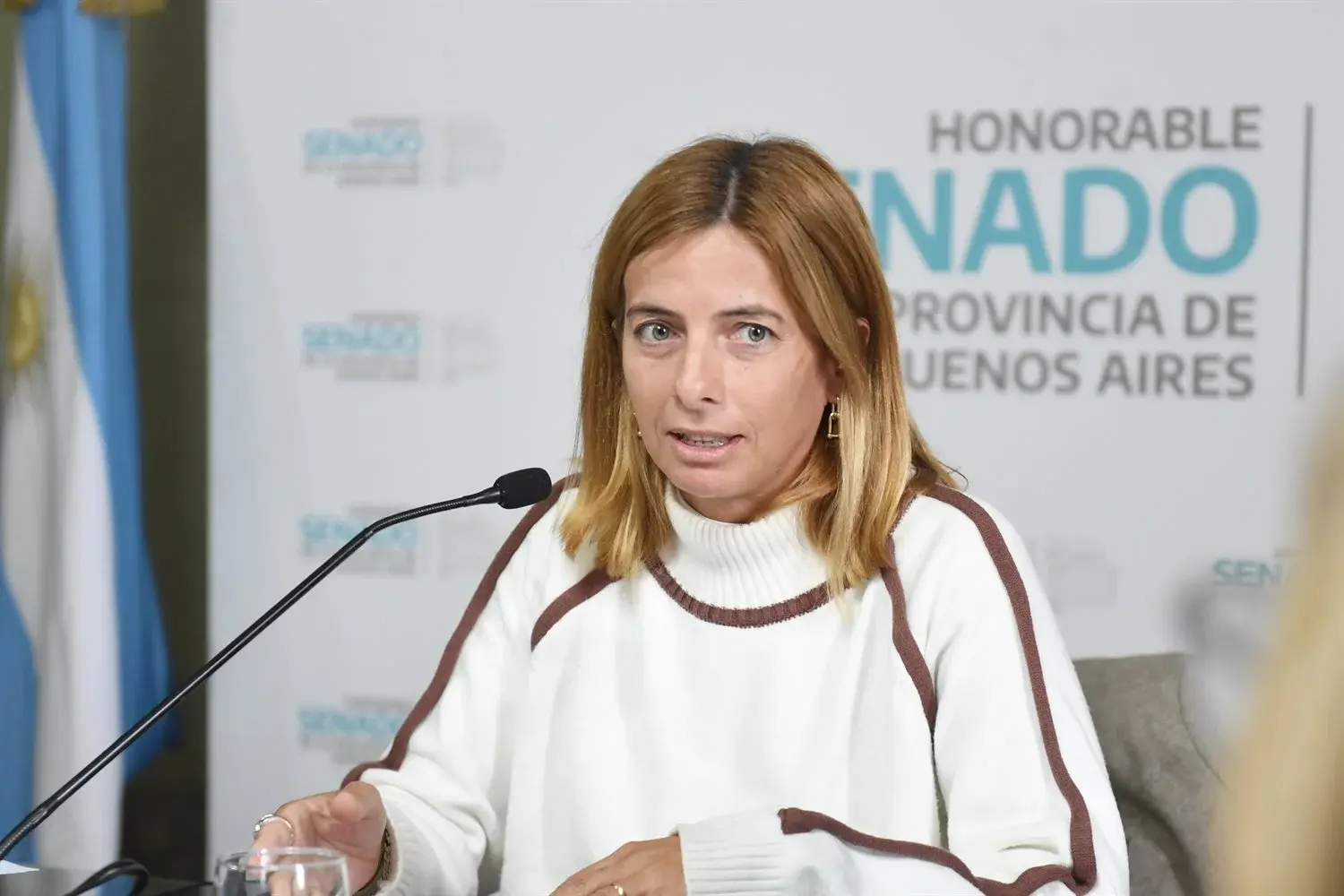 El Senado bonaerense puso la lupa sobre los escapes de motos y autos: qué cambios propone