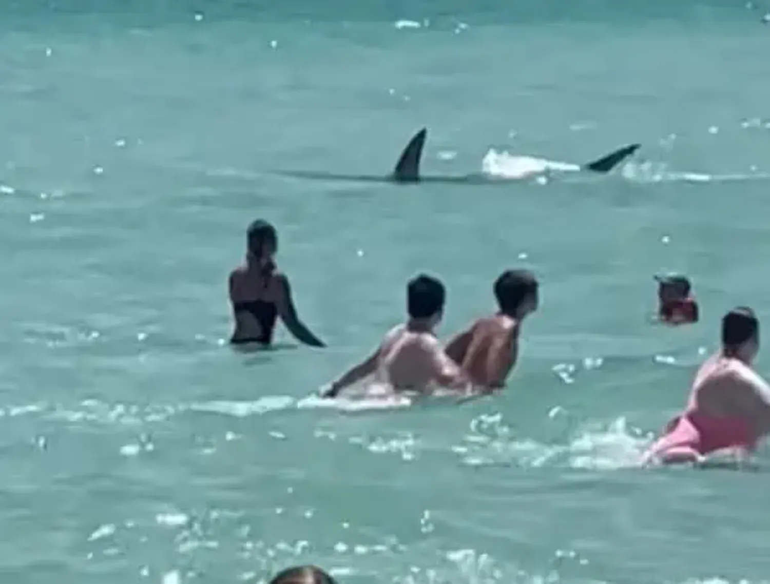 Shark bites 14-year-old boy from Missouri in Florida