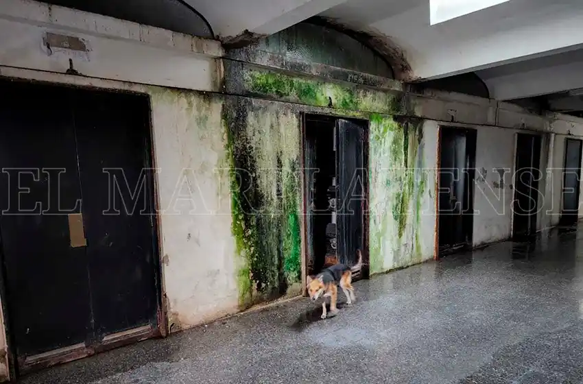 Las caras del abandono y la desidia