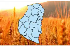 El campo entrerriano necesita 100 milímetros de lluvias en octubre y noviembre