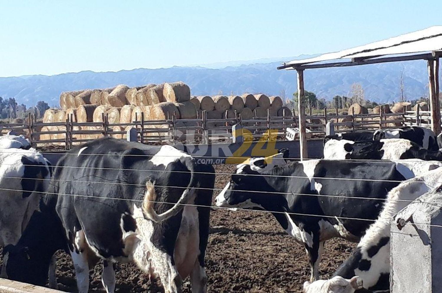 Leve incremento de la actividad económica