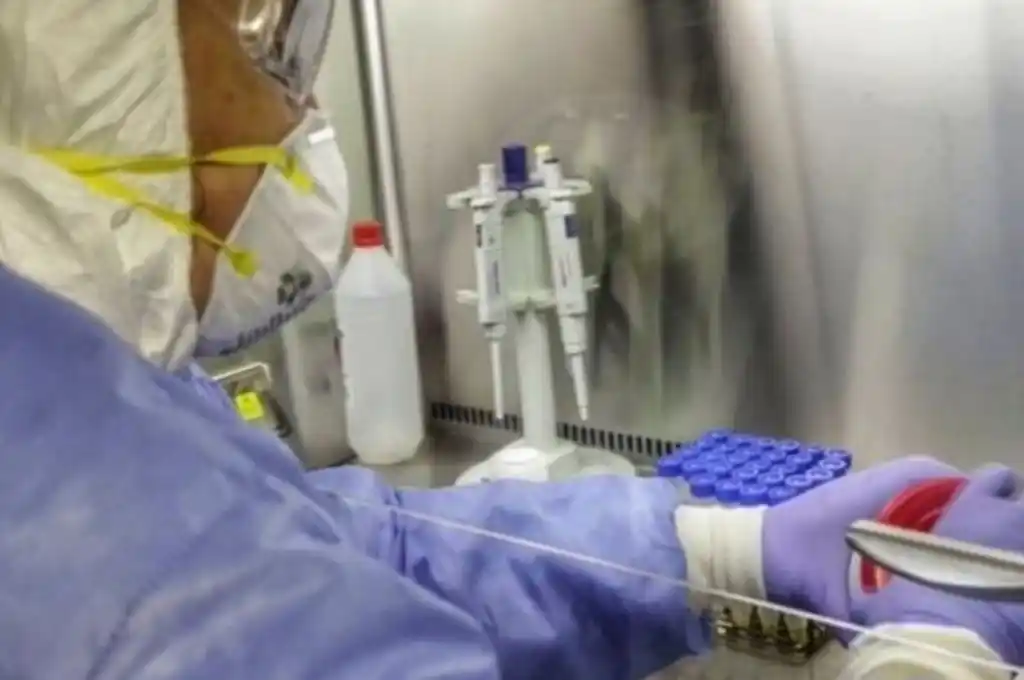 Informan 19 nuevas muertes por coronavirus en el país