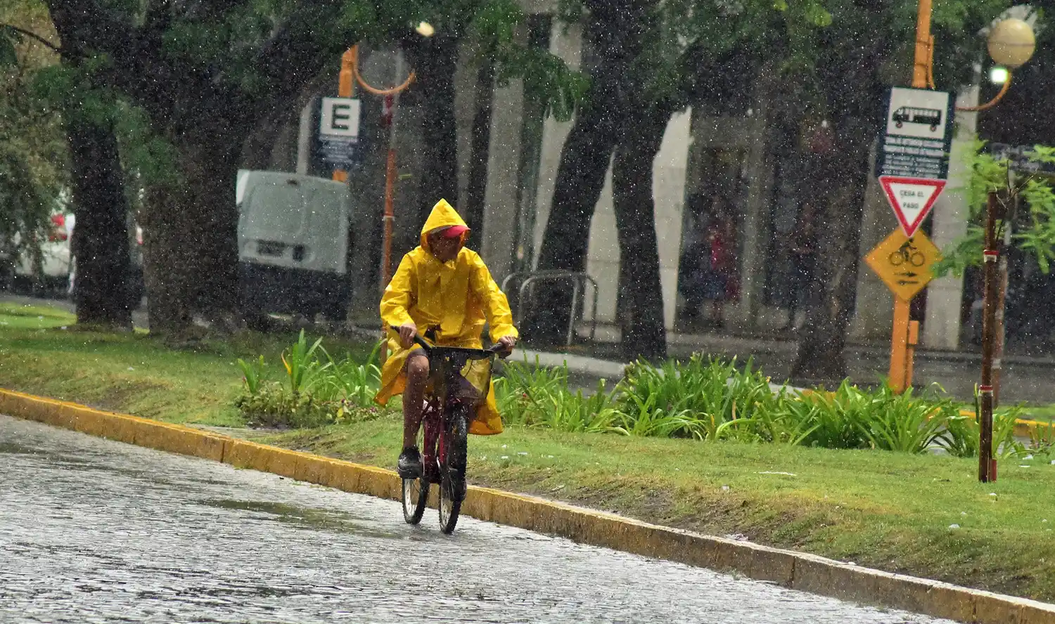 Mañana lluviosa en la ciudad.