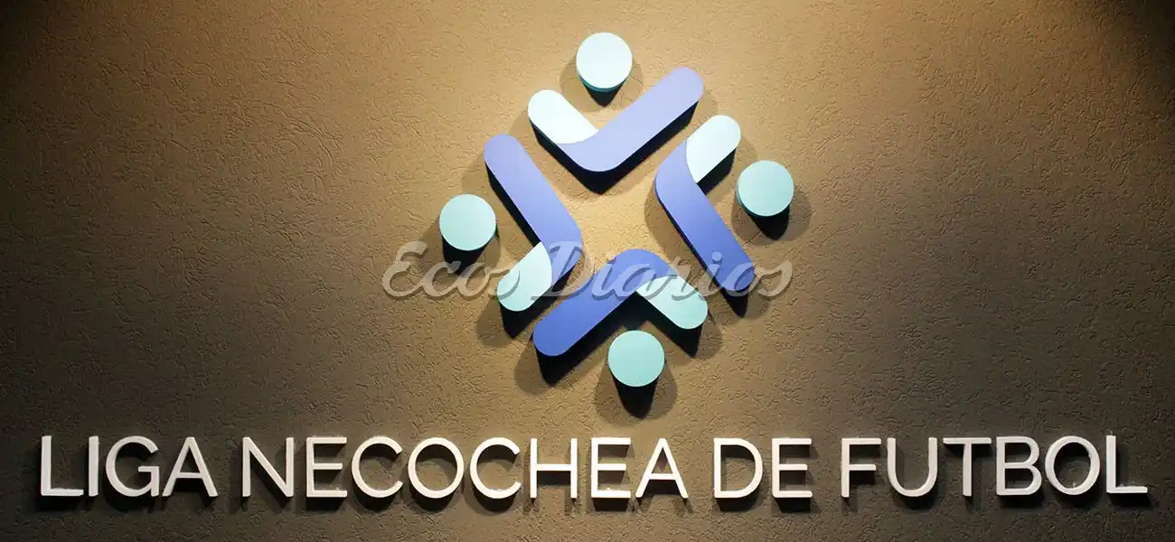 Se conocieron las sanciones del Tribunal de Penas con cuatro suspensiones provisorias y muchos expulsados.