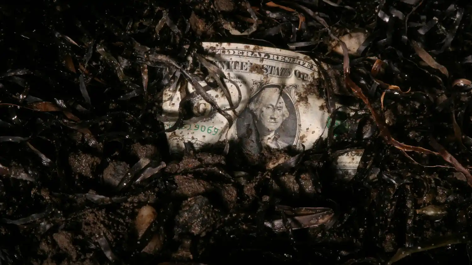 En busca del dólar perdido