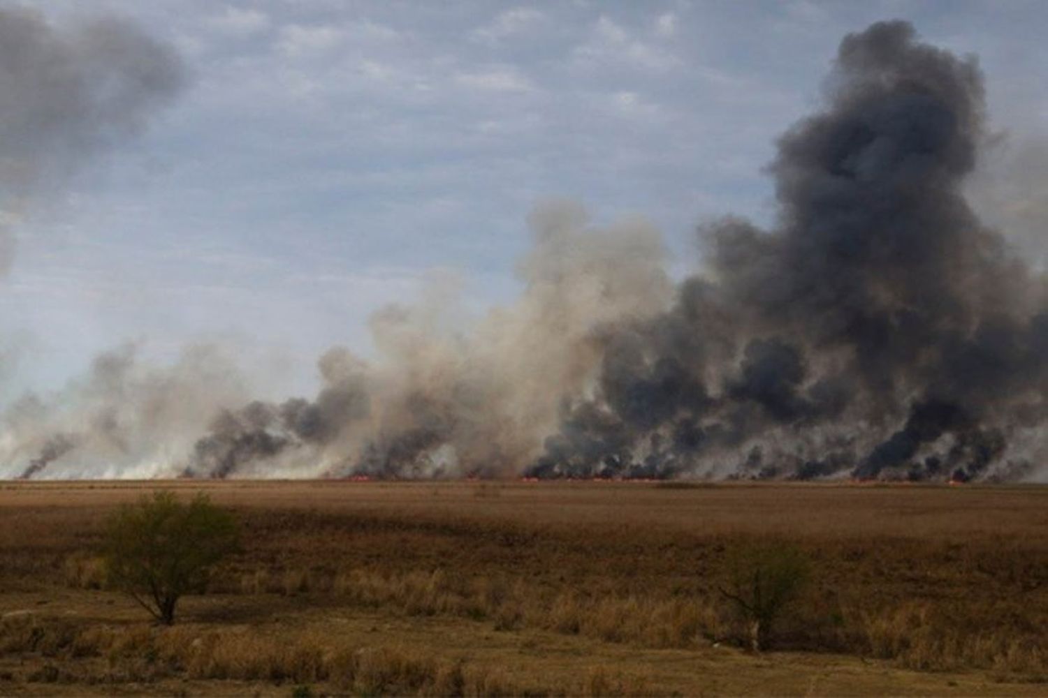 Dos focos activos y seis controlados en el Delta entrerriano