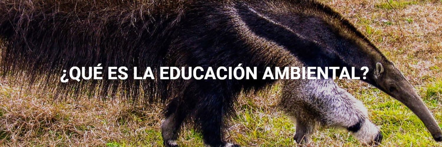 “Especies Amenazadas de Argentina: ¿cuáles son? ¿por qué?"