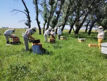 Comenzaron las capacitaciones laborales de Auxiliar en Apicultura en distintos departamentos de Entre Ríos