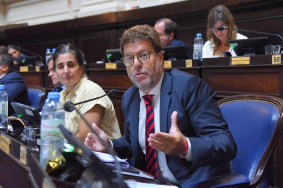 Diego Garciarena, tras la suspensión de las PASO: "La legislatura ha tenido responsabilidad"