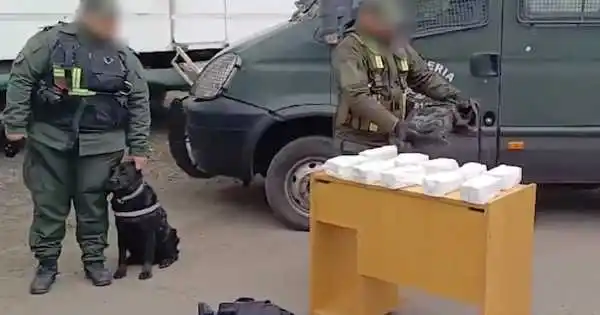 Canina Jelinek, la perra antinarcóticos que se hizo viral y fue reconocida por Bullrich