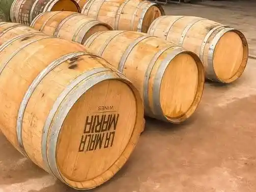 Mar del Plata, elegida por la industria vitivinícola para seguir promoviendo identidad y producción local