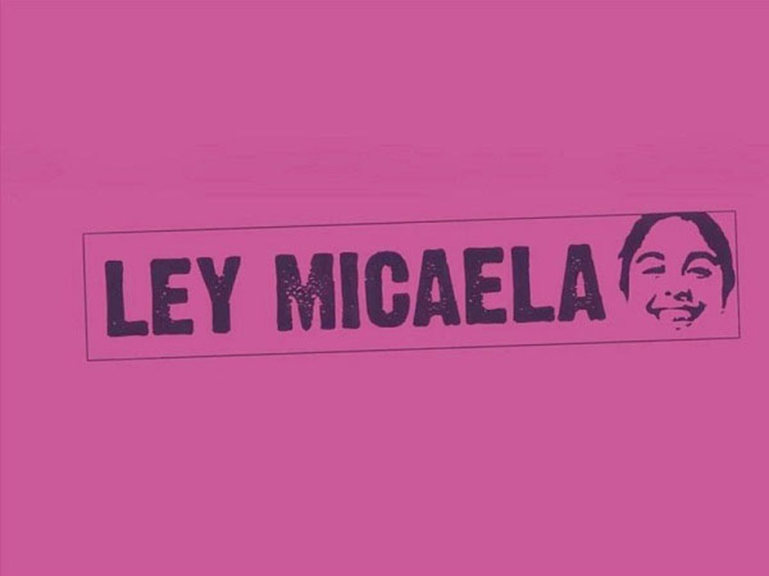 Repudian los cambios que la gestión Milei propone a la "Ley Micaela"