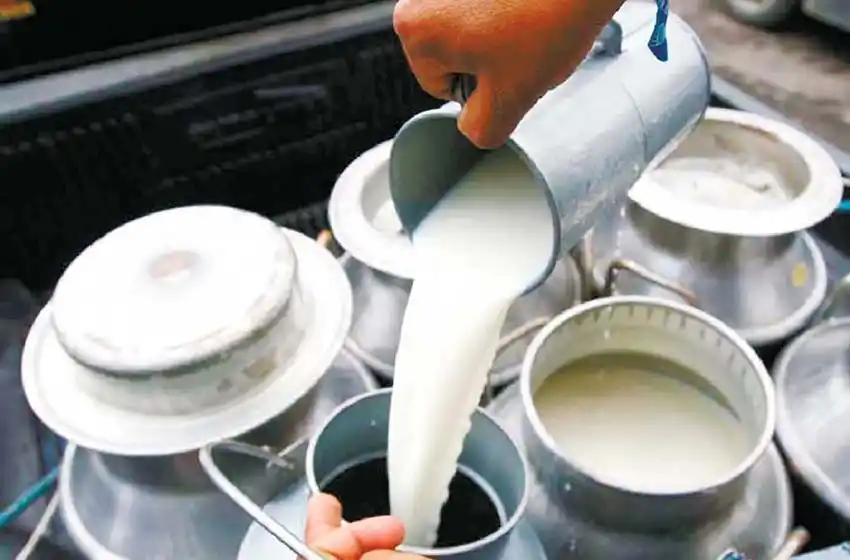 Fueron procesados dos empresarios por venta ilegal de leche que era destinada a embarazadas y niños