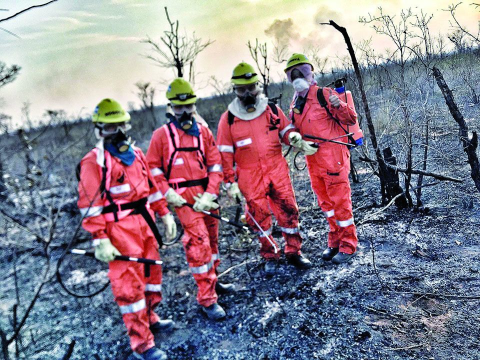 La odisea de combatir las llamas en el Amazonas