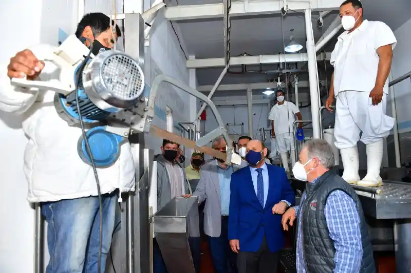 Destacan el crecimiento exponencial de la ganadería formoseña y la genética de los rodeos