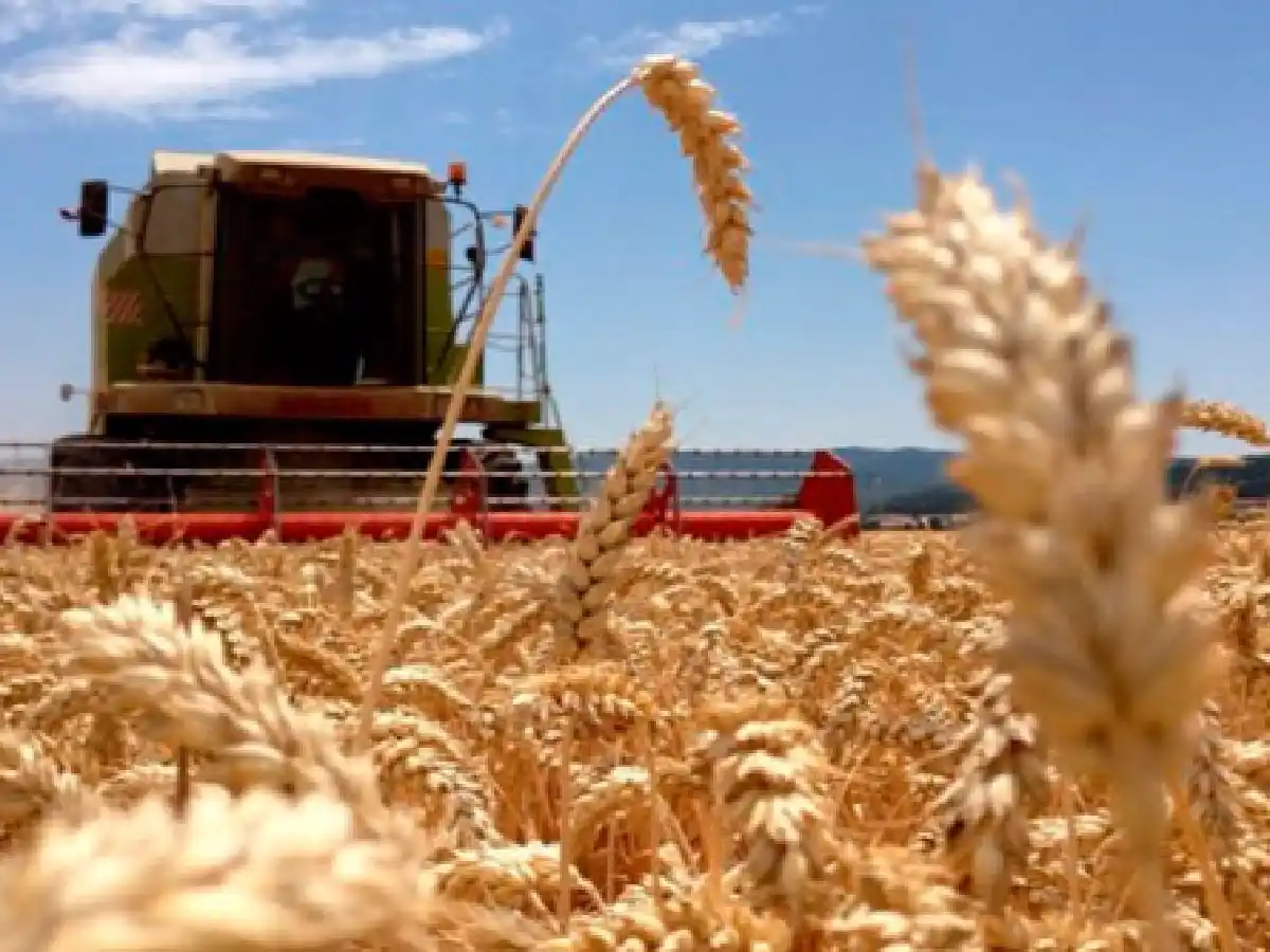 Durante 2016 el agro transitó entre la cosecha récord y problemas de las economías regionales