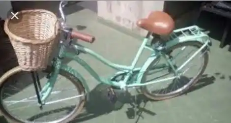 Le robaron la bicicleta a la salida de la escuela