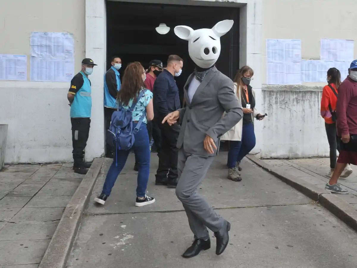 Elecciones 2021: un “Chancho Blanco” votó en la Facultad de Derecho