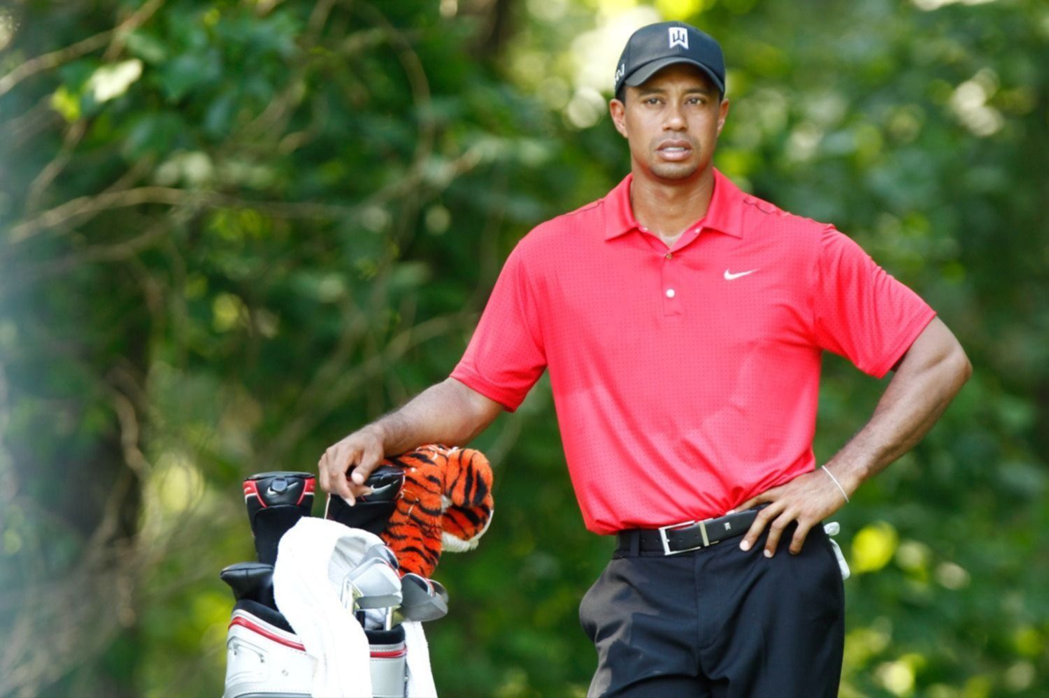 Tiger Woods será dueño de un equipo en su liga virtual de golf