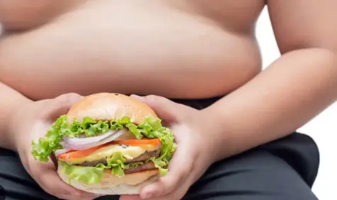 Obesidad, genes y laberinto familiar