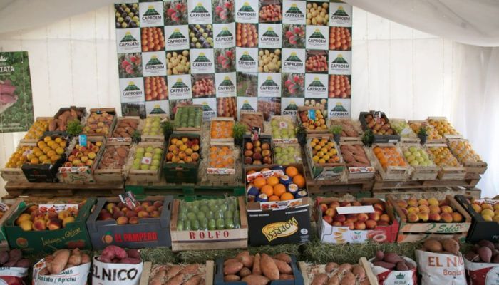 San Pedro tiene su stand en Expoagro 2023