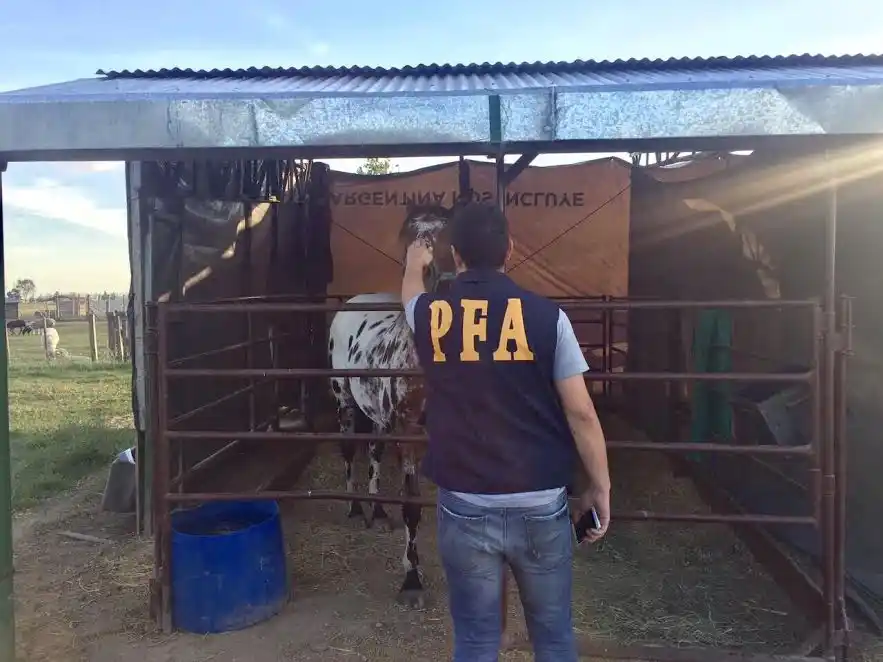 Rescataron más de 3.400 animales que estaban destinados al comercio ilegal