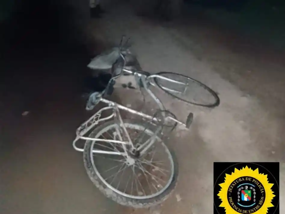 Recuperan tres lechones robados: el ladrón está detenido