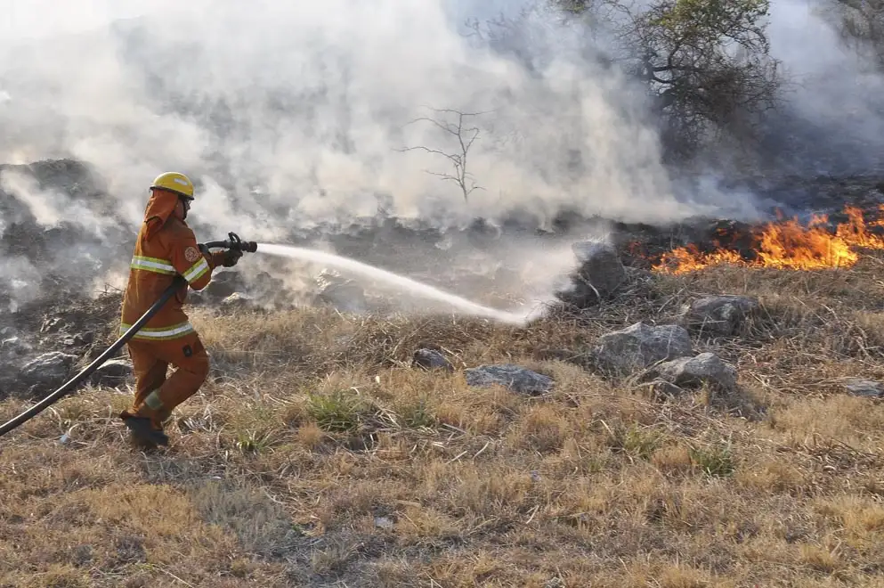Córdoba: prendió fuego para comer, provocó un incendio forestal, y terminó detenido