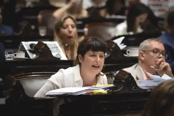 Gaillard: “Otorgándole a Milei facultades para disolver o intervenir organismos, le estaríamos dando facultades de Monarca”