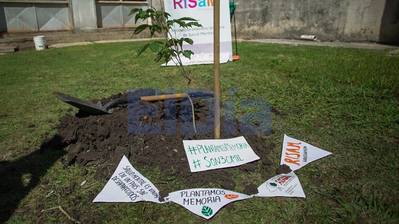 El Hospital Centenario se sumó a la campaña "Plantamos Memoria"