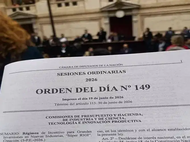 El Senado tratará en comisiones el proyecto 
de Súper RIGI el miércoles 5 de agosto