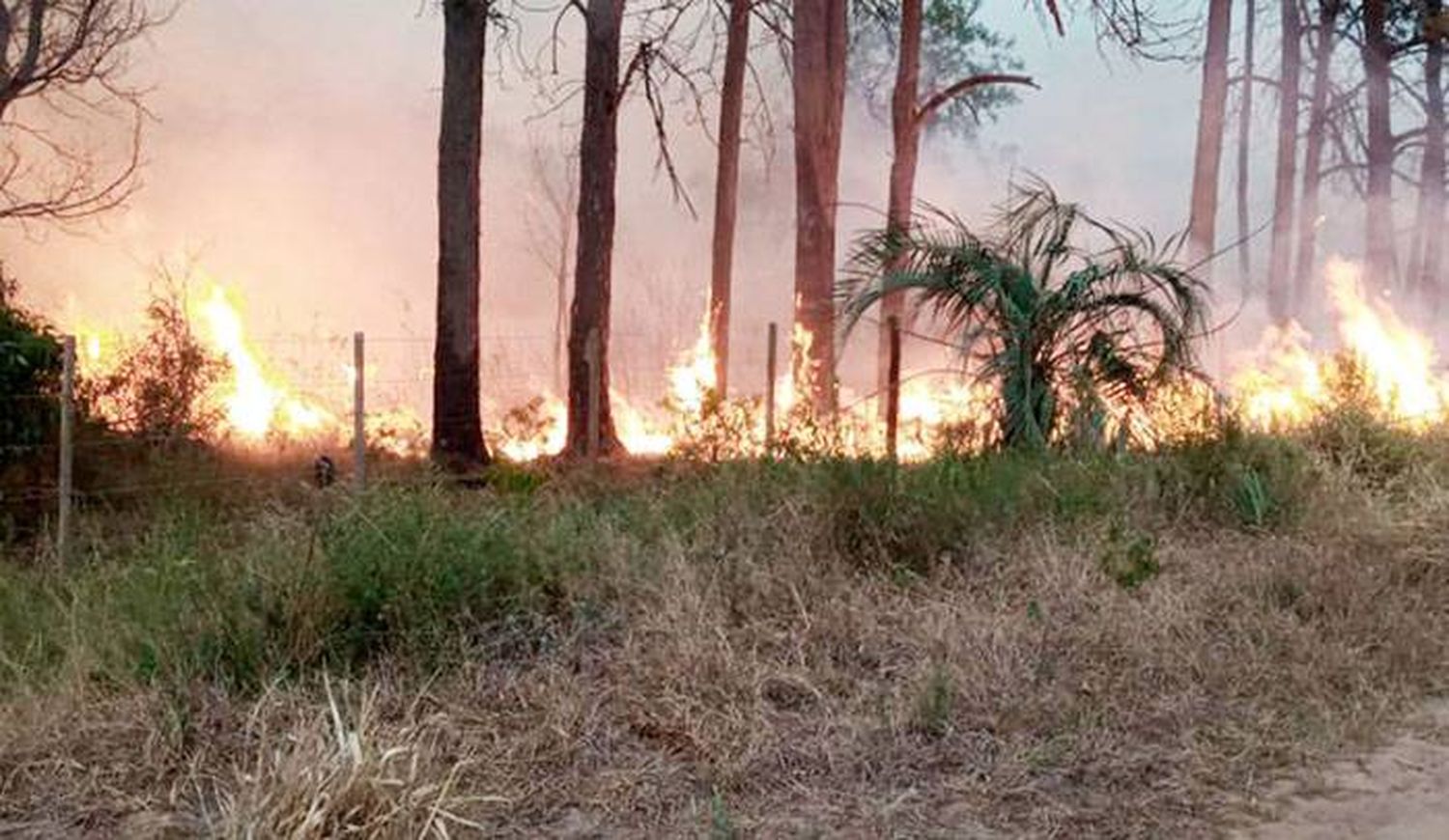 El incendio en un portal de los Esteros del Iberá  ya arrasó con 5 mil hectáreas