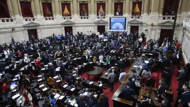 Desde el miércoles, la Cámara de Diputados analizará la edad de imputabilidad.