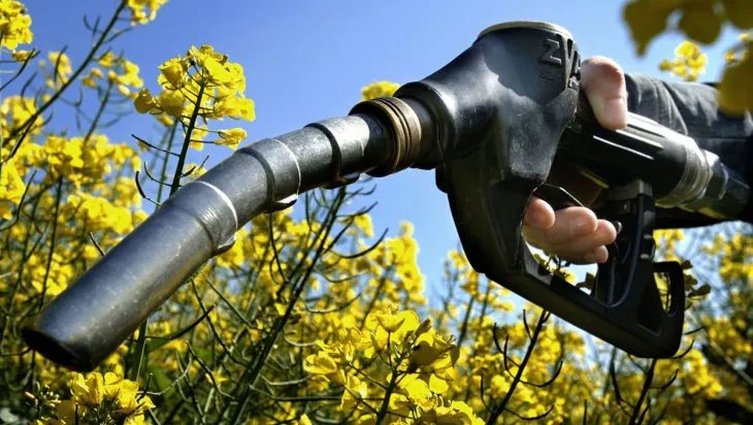 El Gobierno aumentó hasta un 35% el precio del bioetanol y un 20% el del biodiesel