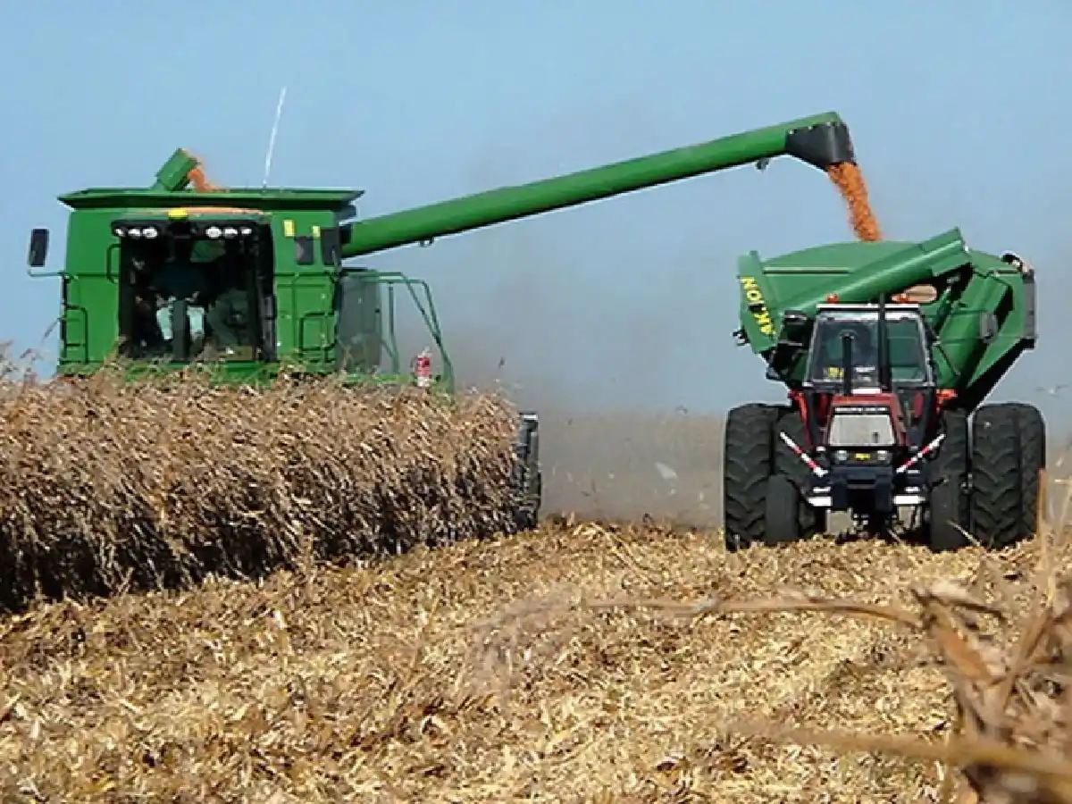 Granos gruesos: se consolida el récord de ventas comprometidas de la campaña 2019/20                  