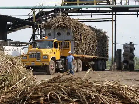 Cuatro centrales azucareros pasaron al sector privado tras acuerdo con el Gobierno