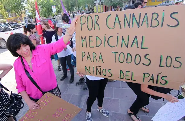 Buscan que Entre Ríos se adhiera a la Ley de Cannabis Medicinal   