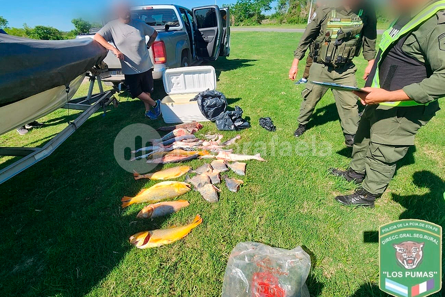 Fuera de temporada, los atraparon con más de 400 surubíes, bogas, sábalos, dorados y palometas