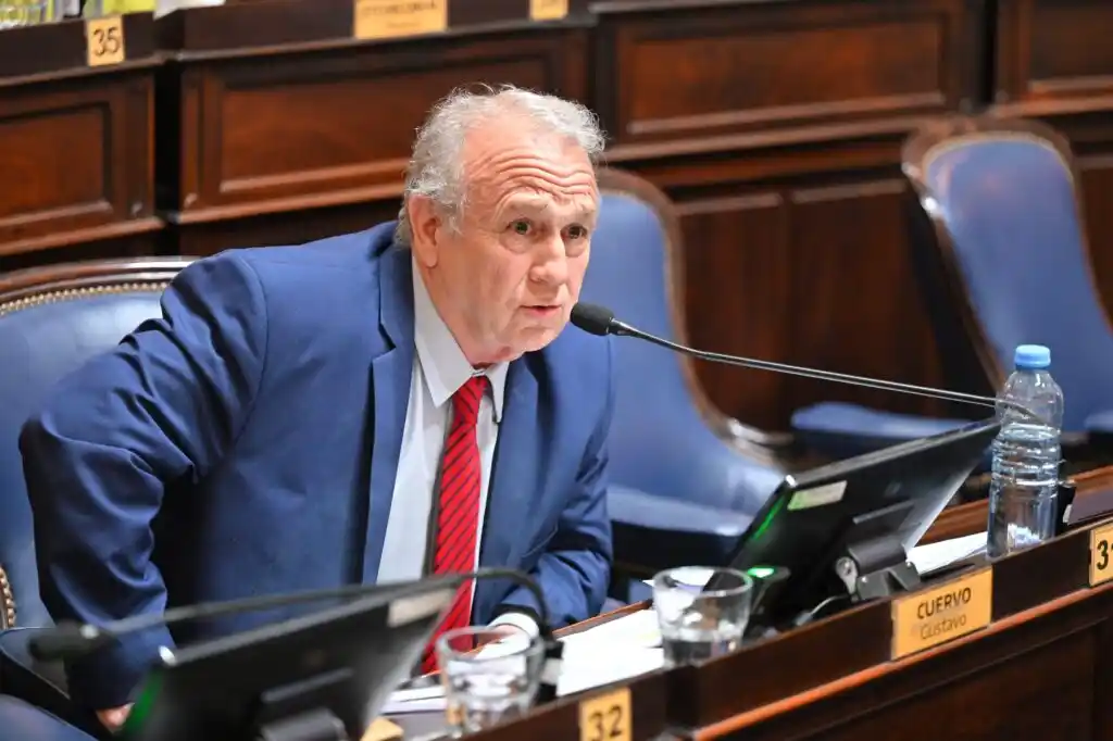 Las reelecciones indefinidas sumaron un rechazo clave y podrían caerse en Diputados